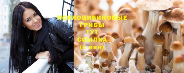ПСИЛОЦИБИНОВЫЕ ГРИБЫ Пересвет