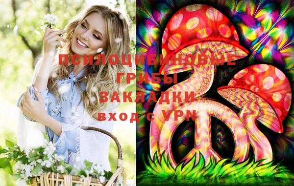 spice Переславль-Залесский