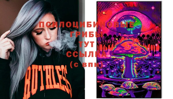 ПСИЛОЦИБИНОВЫЕ ГРИБЫ Пересвет