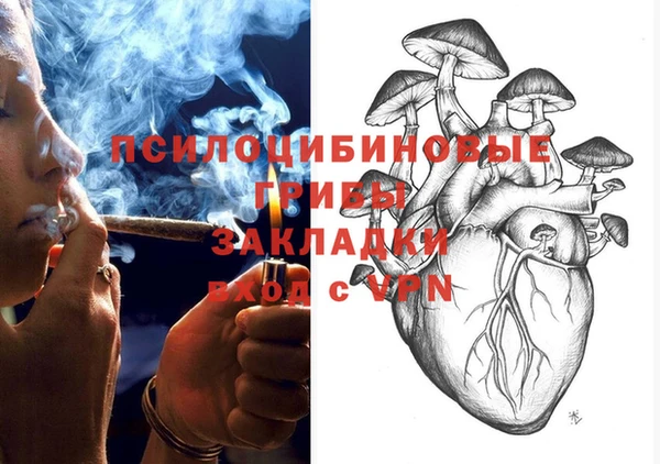 spice Пестово