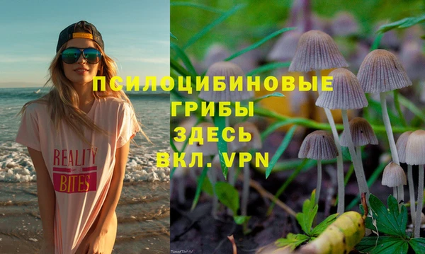 spice Переславль-Залесский