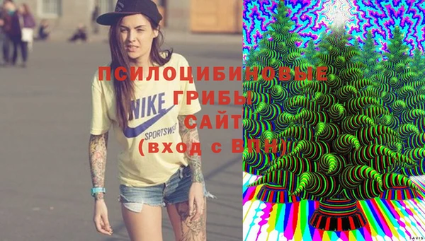 spice Пестово