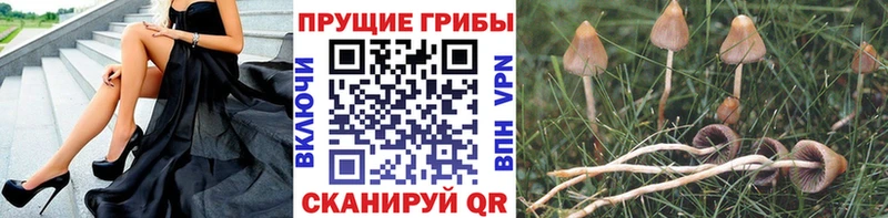 Псилоцибиновые грибы мухоморы  Стрежевой 