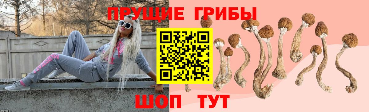 Стрежевой  Псилоцибиновые грибы MAGIC MUSHROOMS  Вход с VPN  Псилоцибиновые грибы Psilocybe 